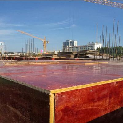 广西建筑小红板工厂 绿色创新引领建筑模板新潮流